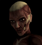 Doppelganger