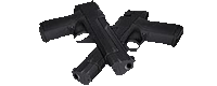 Magnum